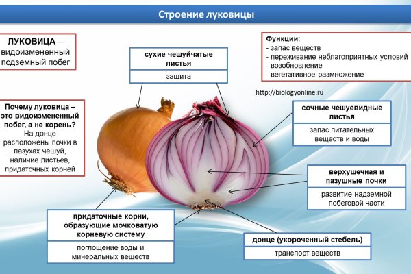 Кракен ссылка на сайт тор