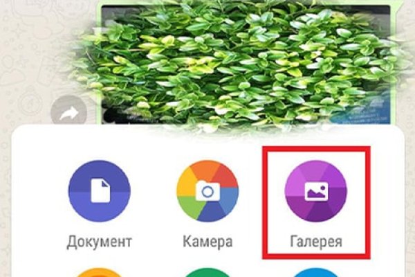 Кракен в россии наркотик