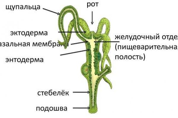 Кракен 2krn